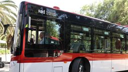 Se buscan conductoras: Empresa argentina de buses Red contrata mujeres