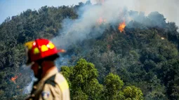 Senapred decreta Alerta Roja en varias regiones por evento de calor extremo: Región del Maule podría llegar a los 40°C