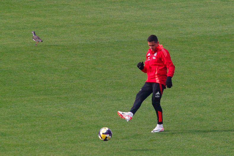 16856 alexis nacional.jpg