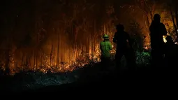 La intensa labor de Conaf y bomberos: han combatido 159 incendios forestales simultáneos desde el sábado y 24 siguen en combate
