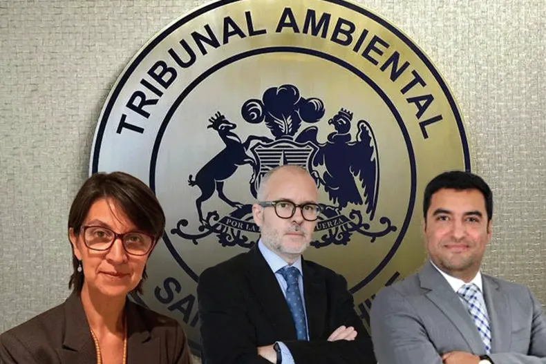 29130 tribunal ambiental.webp