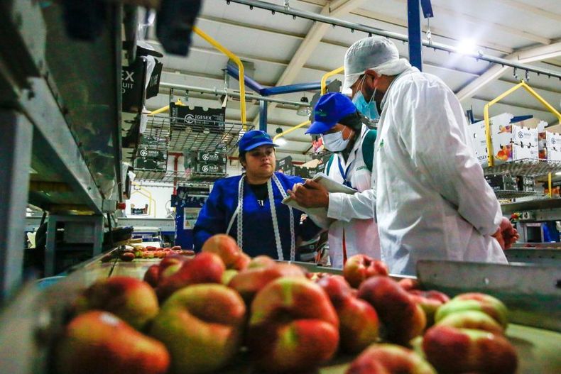 direccion del trabajo fiscalizara a trabajadores agricolas  scaled e1674650768784.jpg