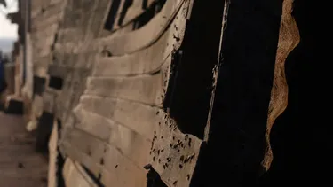 Viviendas fueron entregadas este año: Denuncian plagas de moscas y ratones por culpa de empresa agrícola en La Calera