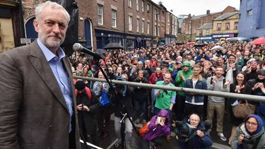 El Desconcierto | rojas.jpeg