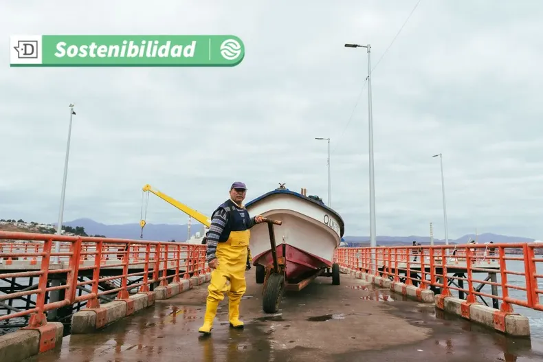 16933 diseno sin titulo 2025 06 05t171841.webp