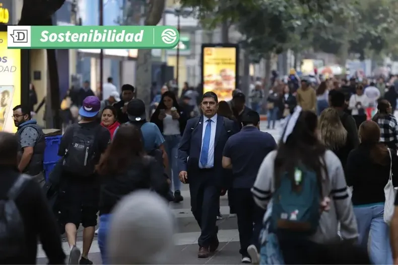 13979 diseno sin titulo 27.webp