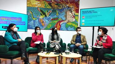El Desconcierto | Investigacion Prodemu 1.jpeg