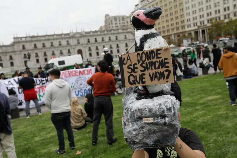 31572 marcha naturaleza.webp