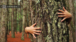 Ecología y derechos de la naturaleza: fuera de borrador constitucional