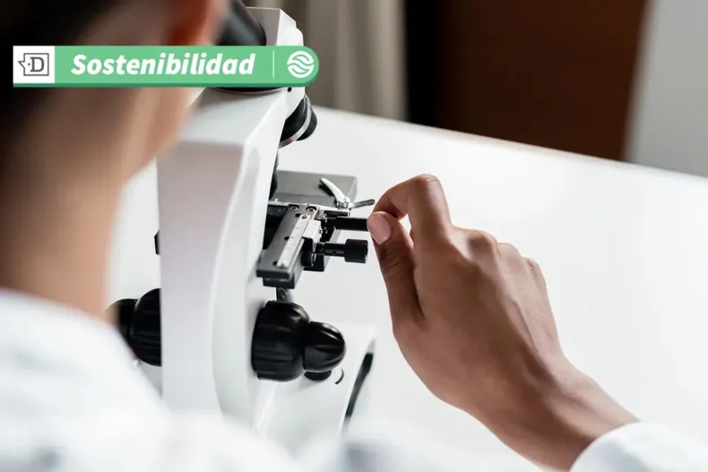 19025 diseno sin titulo 2025 07 11t181354.webp