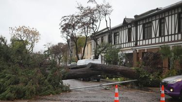 Exceso de puntos críticos por cortes de luz demoraría vuelta del servicio según Senapred