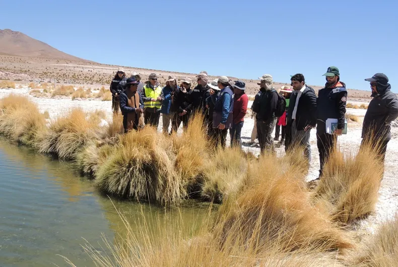 10968 aymaras salar.webp