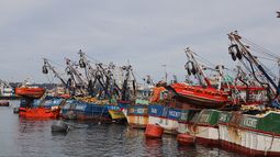José Antonio Kast y la Ley de Fraccionamiento Pesquero, Ley de Pesca y Ley Lafkenche - Agencia Uno José Antonio Kast y la Ley de Fraccionamiento Pesquero, Ley de Pesca y Ley Lafkenche - Agencia Uno