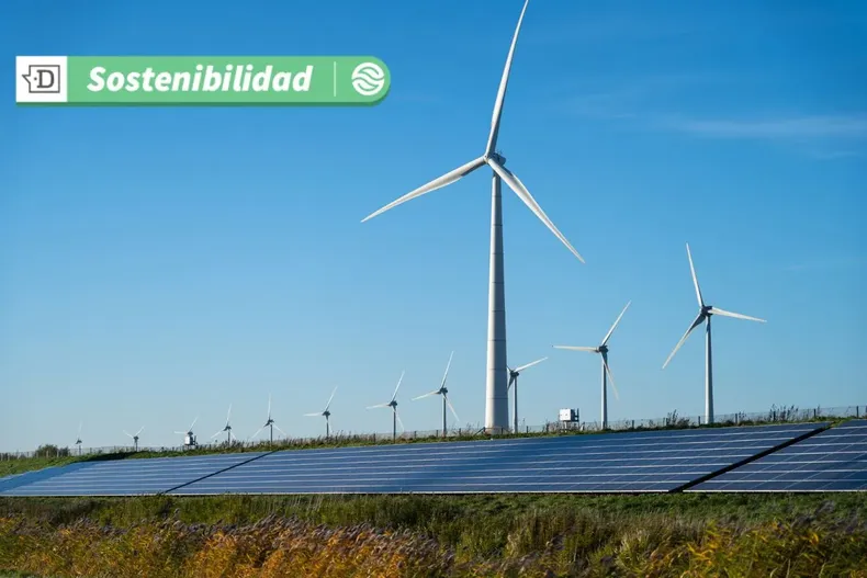 17886 diseno sin titulo 2025 06 23t110951.webp