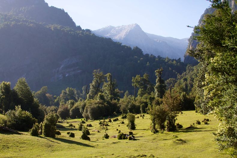 Chile_ _Cochamo_ 1.jpg