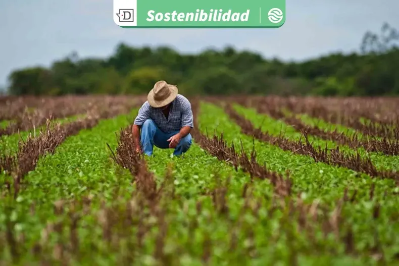 28544 diseno sin titulo 2026 01 09t182133.webp