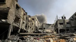 Israel no sólo atacó a personas en Palestina: El ecocidio que comete con tala indiscriminada de olivos ancestrales