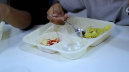 Menú Junaeb: Aprueban proyecto que incorpora alimentación vegetariana y vegana