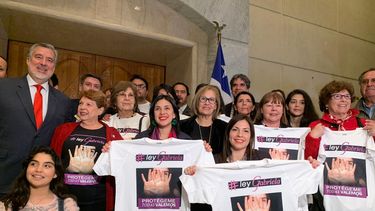 REDES| ¡Lo logramos!: Políticos y políticas celebran aprobación en general del Senado a Ley Gabriela
