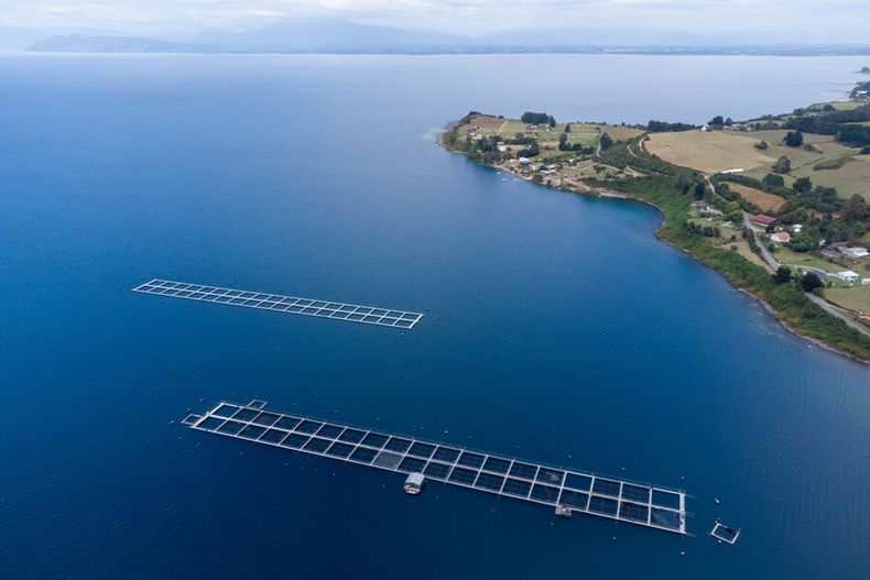 2983 centros salmoneros.jpg