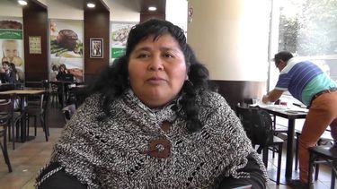 Emilia Nuyado, primera mujer huilliche en llegar al Congreso: Voy a ser la voz y el voto de los mapuche en el Parlamento