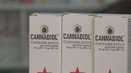 Medicamento en base a cannabis llega a los Cesfam de Rengo