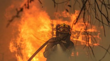 Fiscal Jefe de La Araucanía desmiente a senador RN tras lanzar teoría sobre incendios