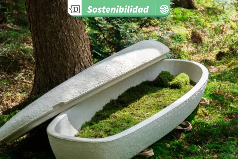 22763 diseno sin titulo 2025 09 17t172431.webp