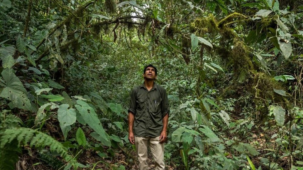 Conoce la historia de la comunidad ecuatoriana en conflicto con Codelco