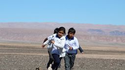 Inician arborización en poblados de San Pedro de Atacama
