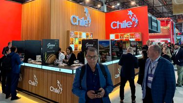 Además del vino y pisco, Chile sale a exportar cervezas y jugos al mercado brasileño: buscan vender US$ 4.995 millones