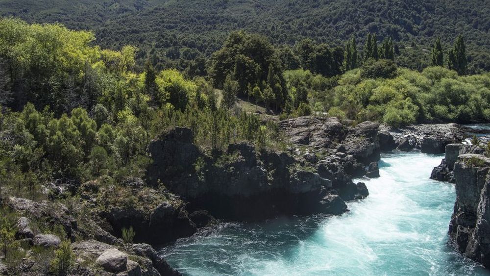 Identifican los lugares de la Patagonia que sirven como refugio frente al cambio climático