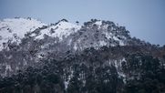 Conaf participará del Día del Patrimonio 2026 - Agencia Uno Conaf participará del Día del Patrimonio 2026 - Agencia Uno