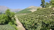 gastronomia con identidad, cultura y naturaleza: valle del aconcagua ofrecera su cuarto seminario de turismo sostenible