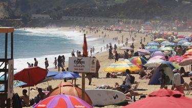 Eventos y gastronomía: La fórmula para fomentar el turismo en Valparaíso post megaincendio