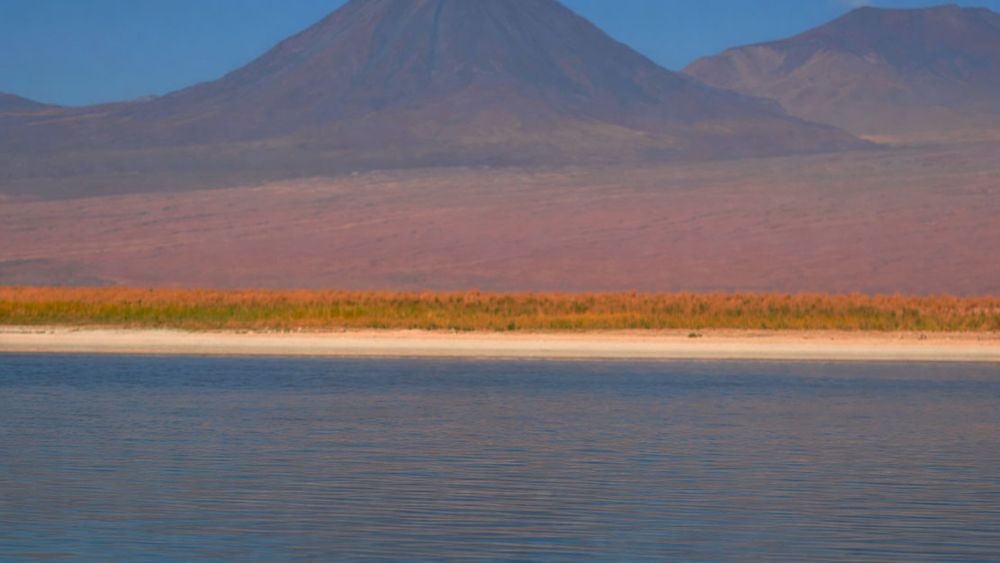 El Desierto de Atacama podría ayudar a detectar vida en otros planetas - Agencia Uno