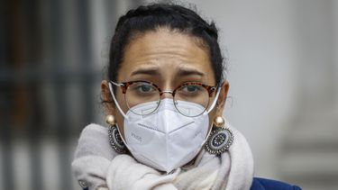 El Desconcierto | Javiera Reyes.jpg.jpg