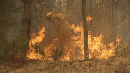 Incendios forestales de envergadura en pleno combate disminuyen a 18