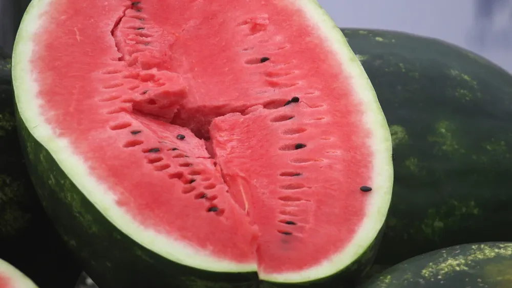 Sandía, la reina del verano: El origen de la fruta preferida de Chile y que se relaciona a buenos recuerdos