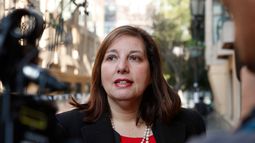 Senadora Paulina Vodanovic sufrió robo en su hogar en Ñuñoa