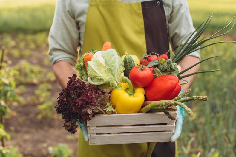 En el Día Mundial de la Gastronomía Sostenible, 12 países preservan tradiciones culinarias que sirven como herramientas de resistencia y transformación social.