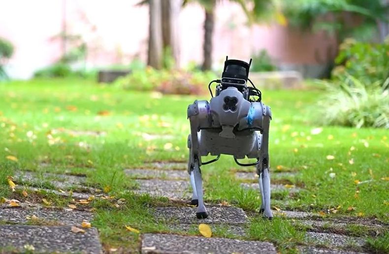 Perro robotico Tefi.jpg