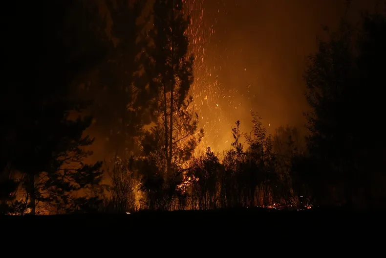 cable electrico de 20 anos sin mantencion provoco incendio forestal juzgado condeno a electrica a indemnizar a duenos de predios.webp