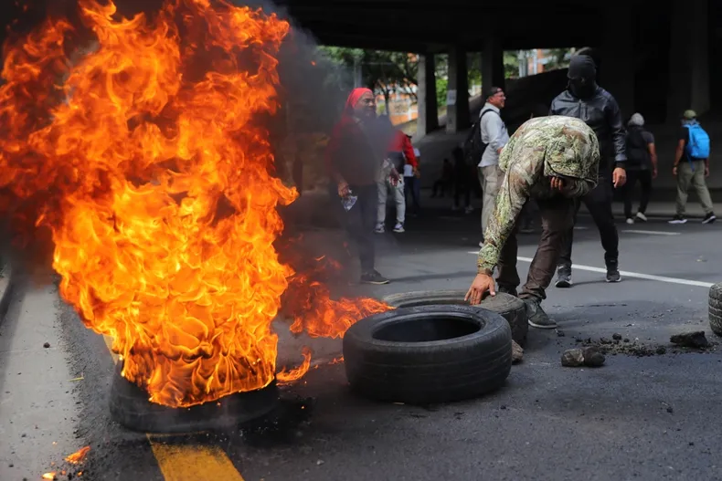 27474 cf2542039a027e45be2fd9464ed39acfaf21baa6.webp