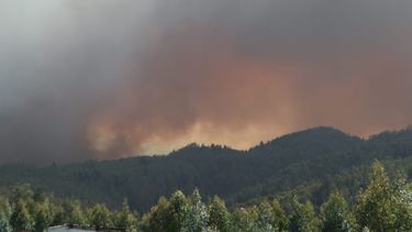 Con alerta SAE: Senapred ordena evacuación de 2 sectores de Coronel por incendio forestal
