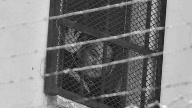 Expresidente de Bolivia acusa fraude procesal en fallo contra Jeanine Áñez