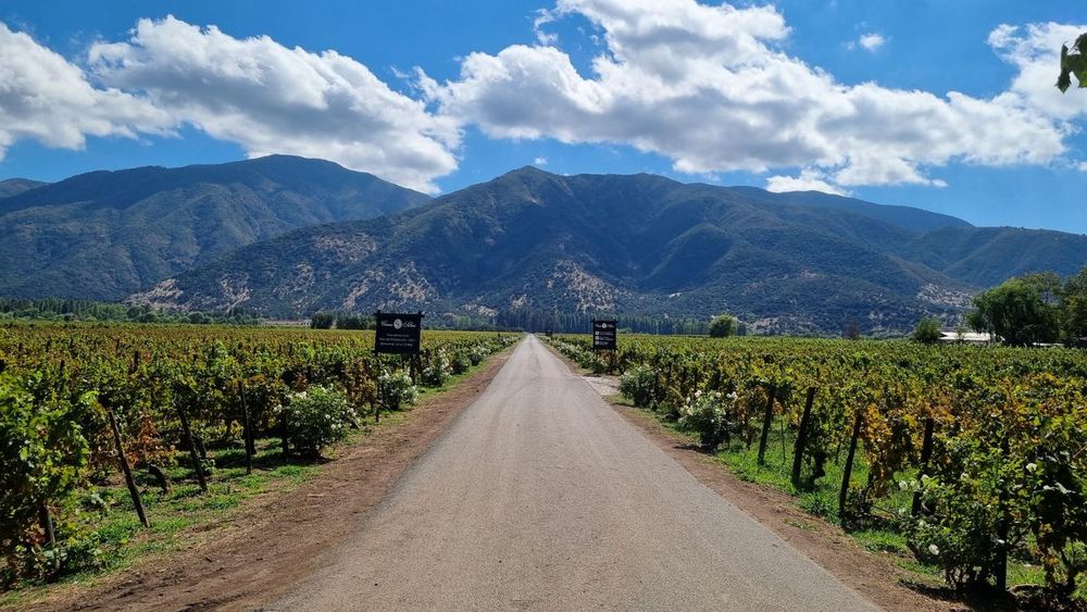 Turismo sustentable en Chile: Un recorrido en tren a por los vinos orgánicos del valle de Colchagua