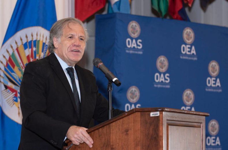 almagro oea 1024x678 1.jpg