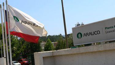 Celulosa Arauco cierra su planta en Licantén por “extrema variabilidad climática”