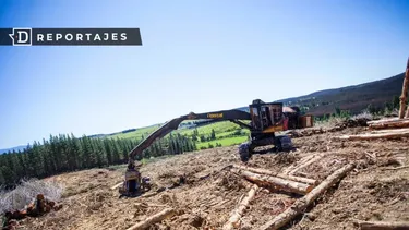 “A mí me discriminaron por ser mapuche”: Empresario de Collipulli revela los “negocios sin papeles” que por años hizo Forestal Mininco